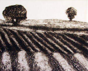 Collograph Print on Paper